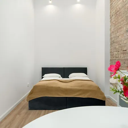 Modern Very Berry In By Renters